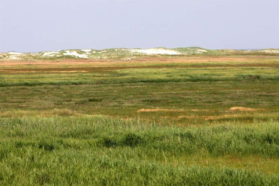 Ferienwohnung Soltau 1 OG rechts Sankt Peter-Ording Exterior foto