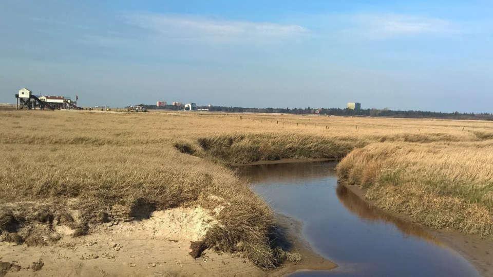Ferienwohnung Soltau 1 OG rechts Sankt Peter-Ording Exterior foto